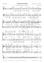 Laden Sie das Bild in den Galerie-Viewer, 3 Suche den Frieden – Seek After Peace, Chorstimme SATB, erste Seite – ZUR ANSICHT
