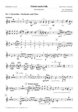 Laden Sie das Bild in den Galerie-Viewer, Adventskantate · Gesamtes Orchestermaterial (leihweise) incl. CD für Audioeinspielung