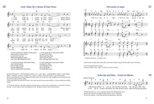 Laden Sie das Bild in den Galerie-Viewer, Pray for Peace - Wünschet den Frieden
