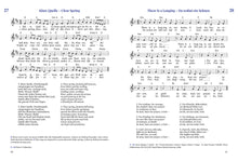 Laden Sie das Bild in den Galerie-Viewer, Pray for Peace - Wünschet den Frieden
